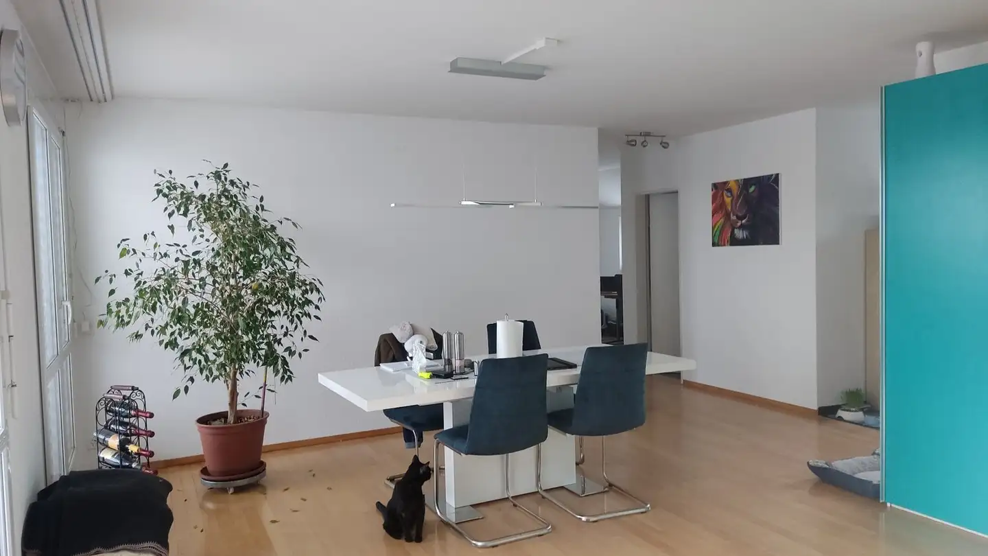 Wohnung mieten - 8052 Zürich - Foto 4