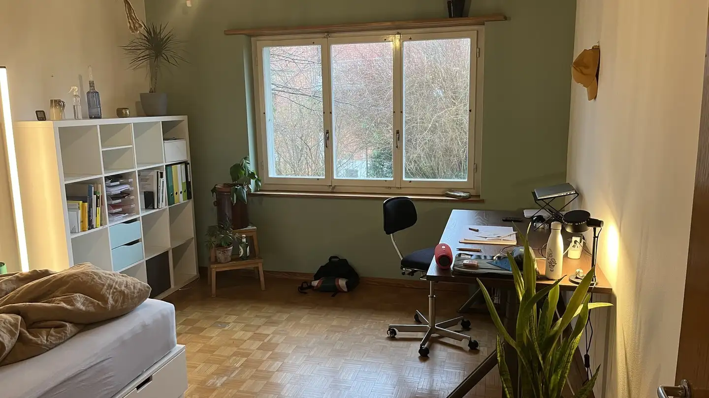 Single room for rent - Burgstrasse 11, 8820 Wädenswil