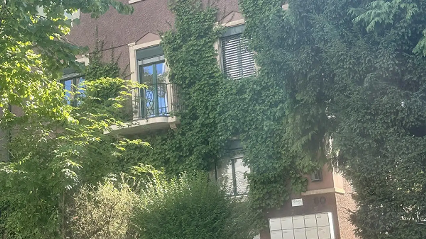 Wohnung mieten - Toblerstrasse 60, 8044 Zürich