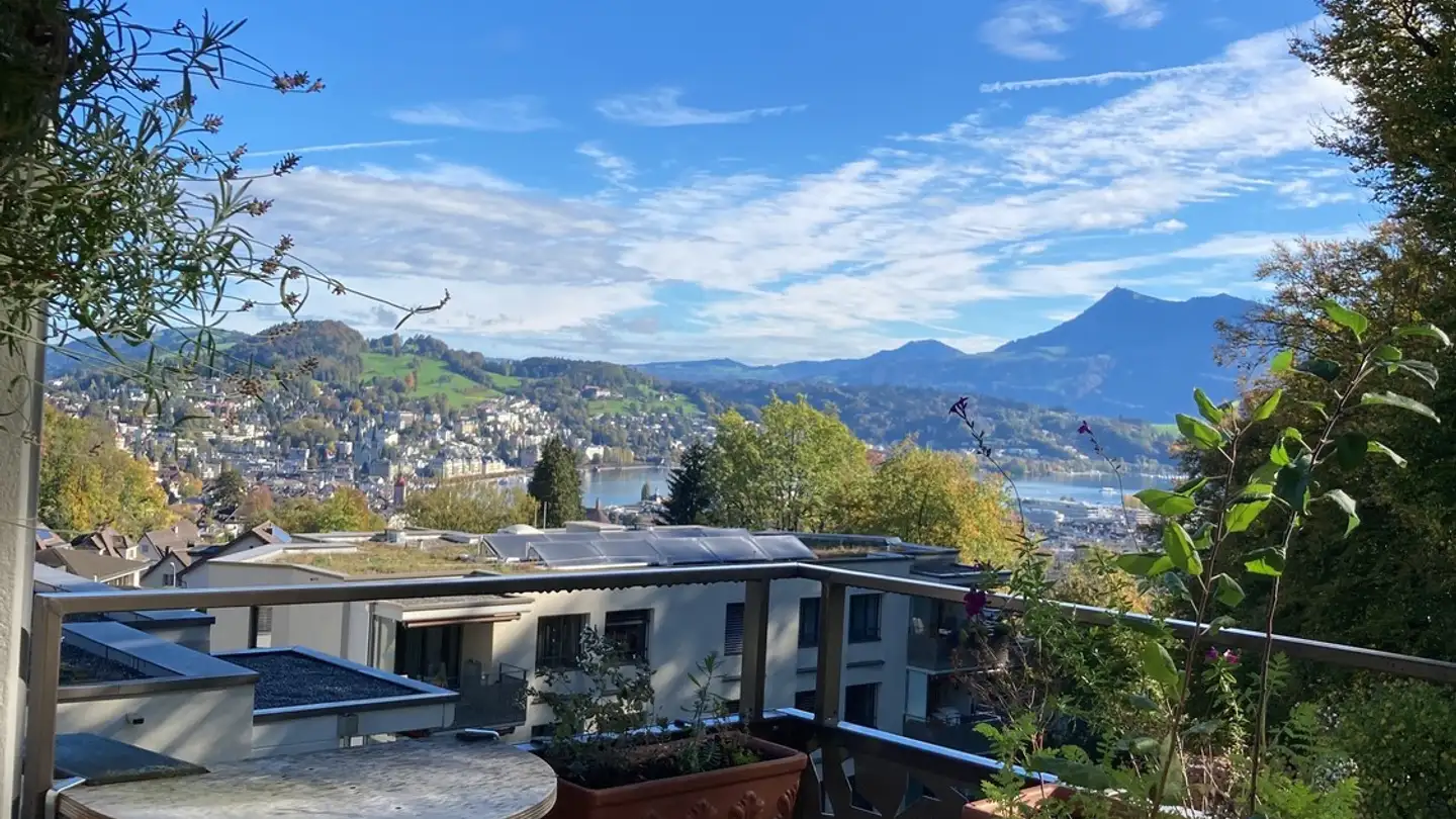 Single room for rent - 6003 Luzern - Photo 4