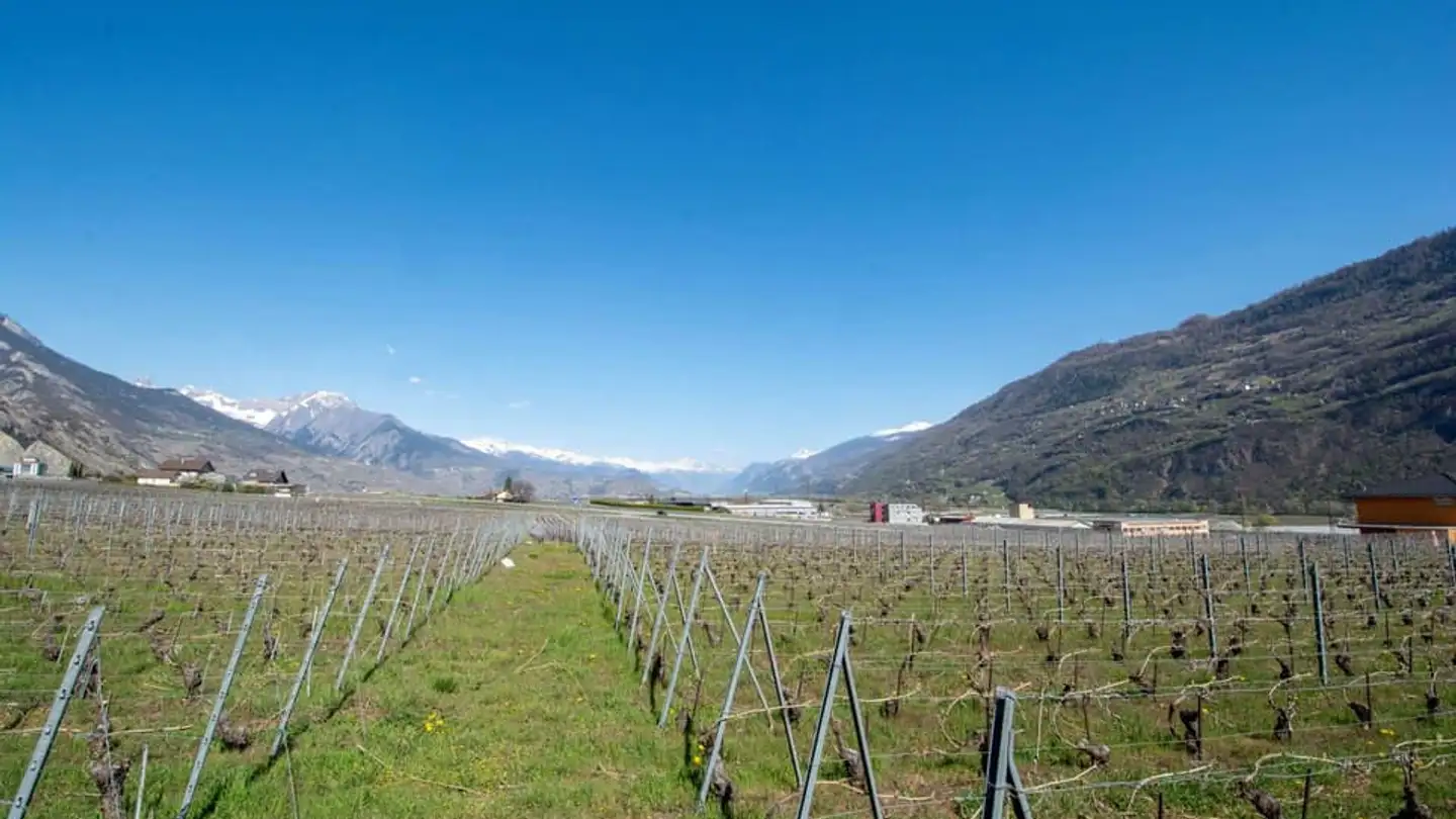 Bauland kaufen - 1955 Chamoson