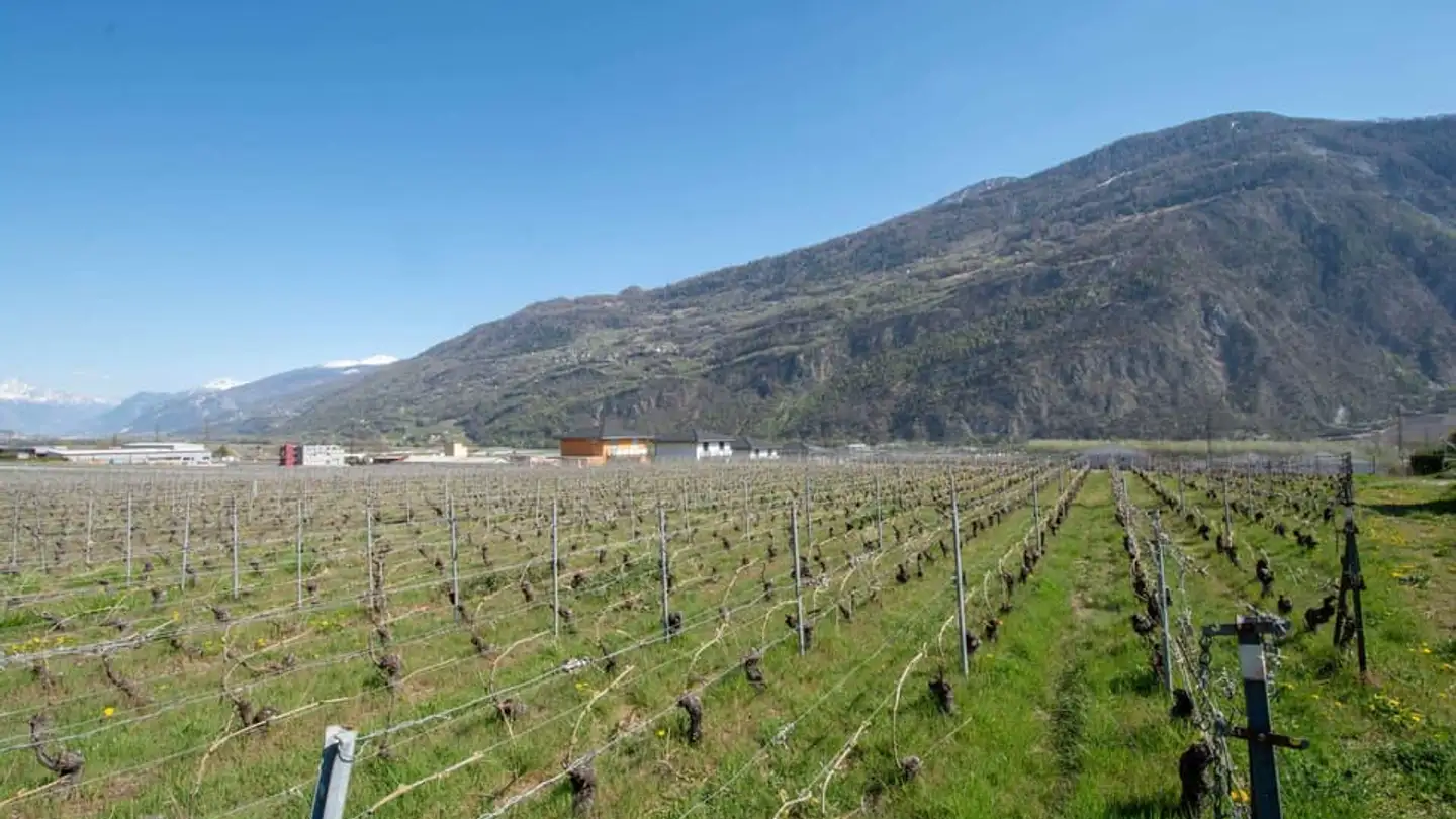 Terrain constructible à vendre - 1955 Chamoson - Photo 3