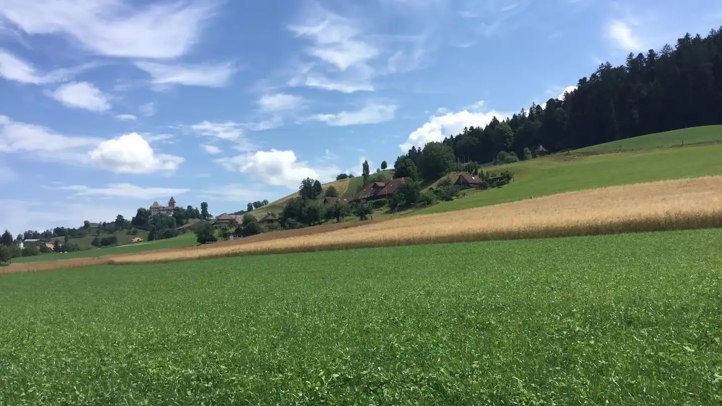 Penthouse mieten - Eichli 1252, 3452 Grünenmatt