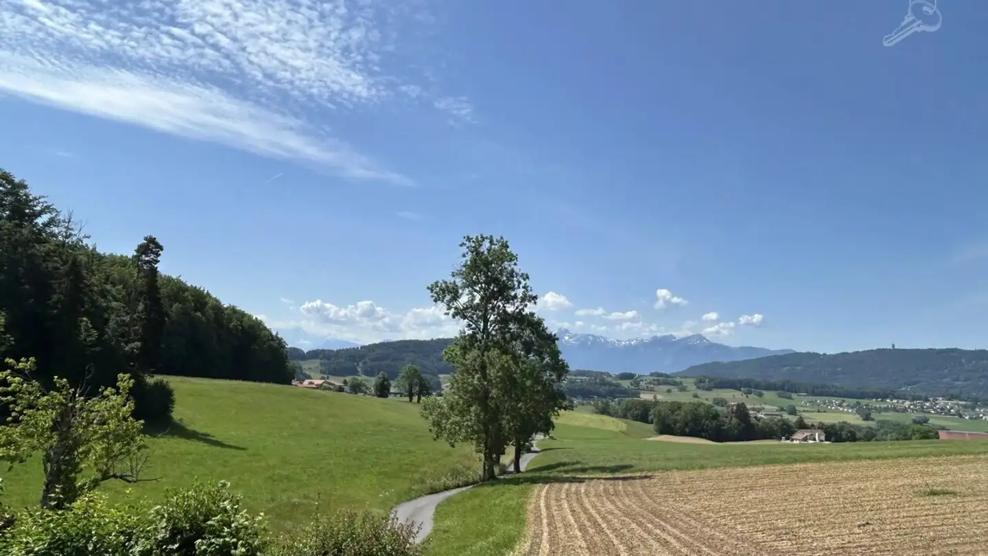 Chalet for sale - 1617 Remaufens - Photo 3