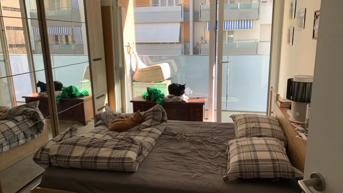 Appartement à louer - 6600 Muralto - Photo 4