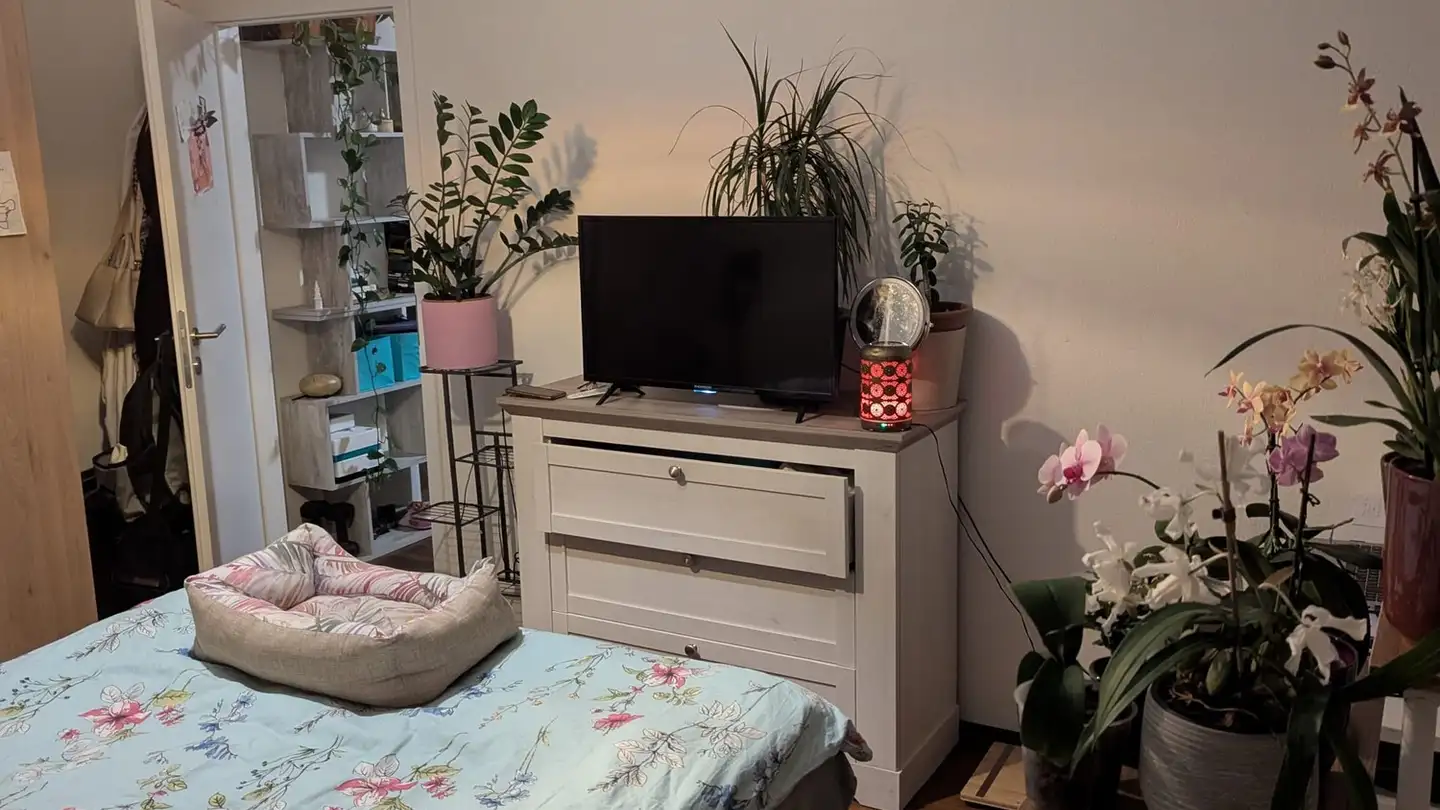 Appartement à louer - 9107 Urnäsch