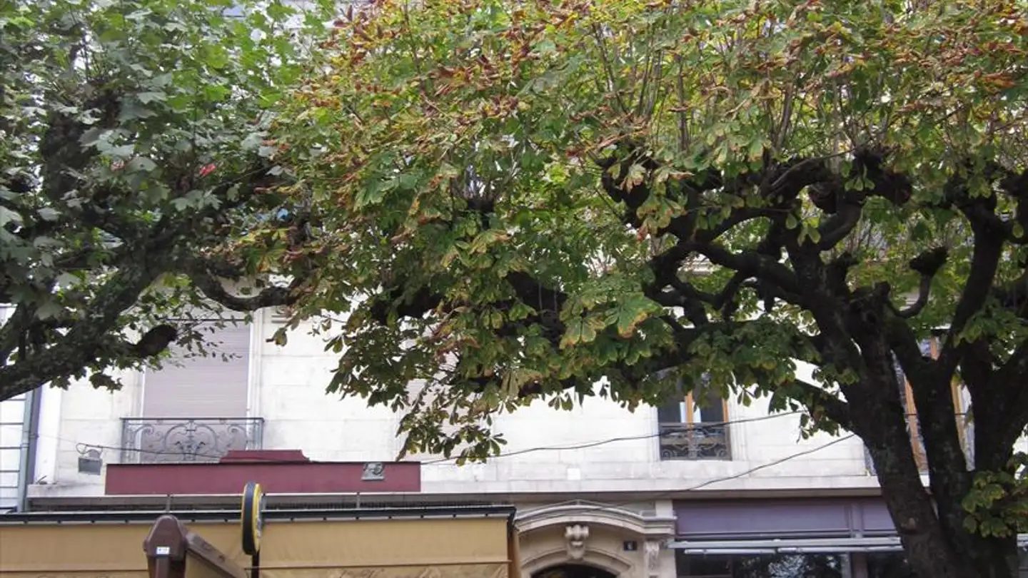 Apartment for rent - Avenue De La Gare-Des-Eaux-Vives 6, 1207 Genève - Photo 4