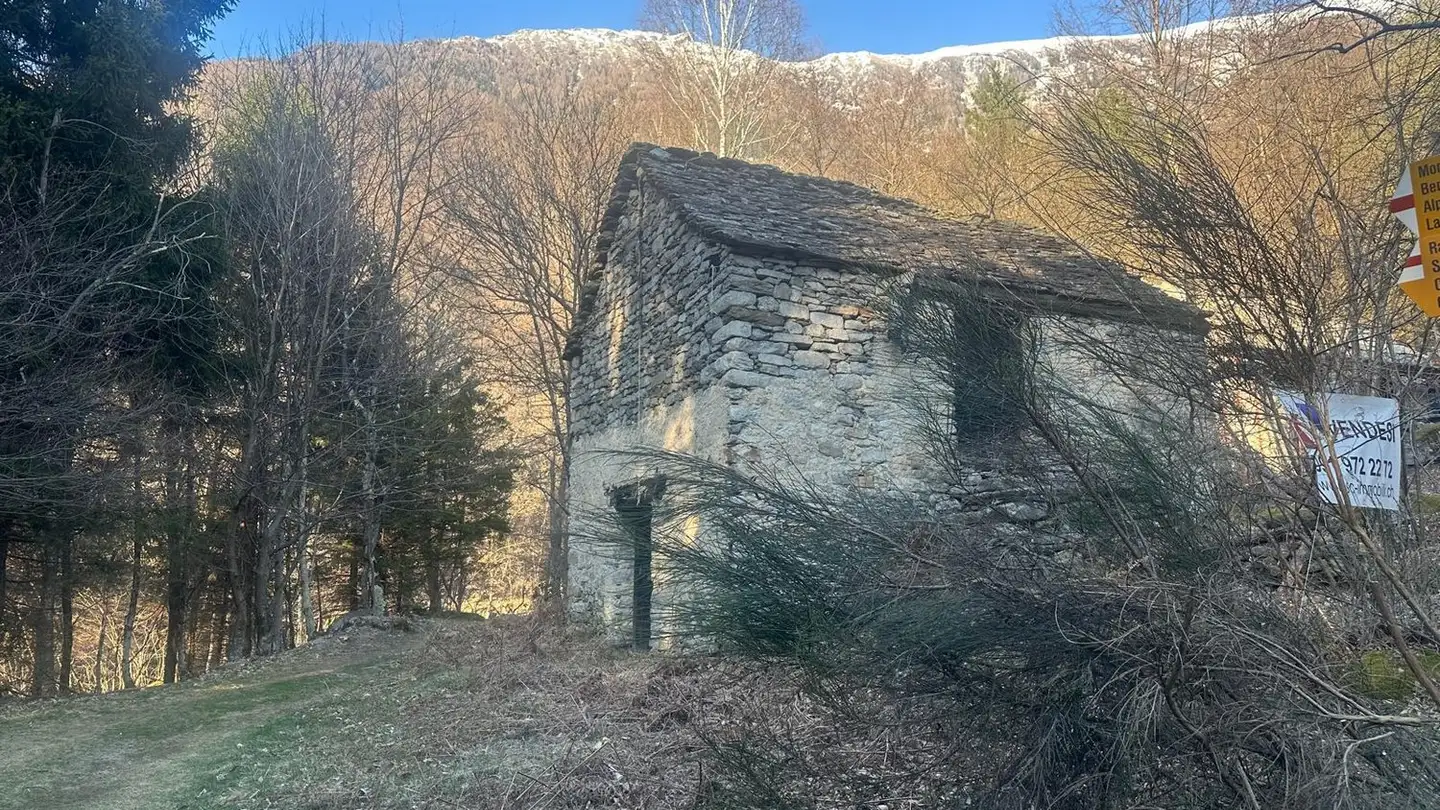 Haus kaufen - Cenz, 6702 Claro - Foto 2