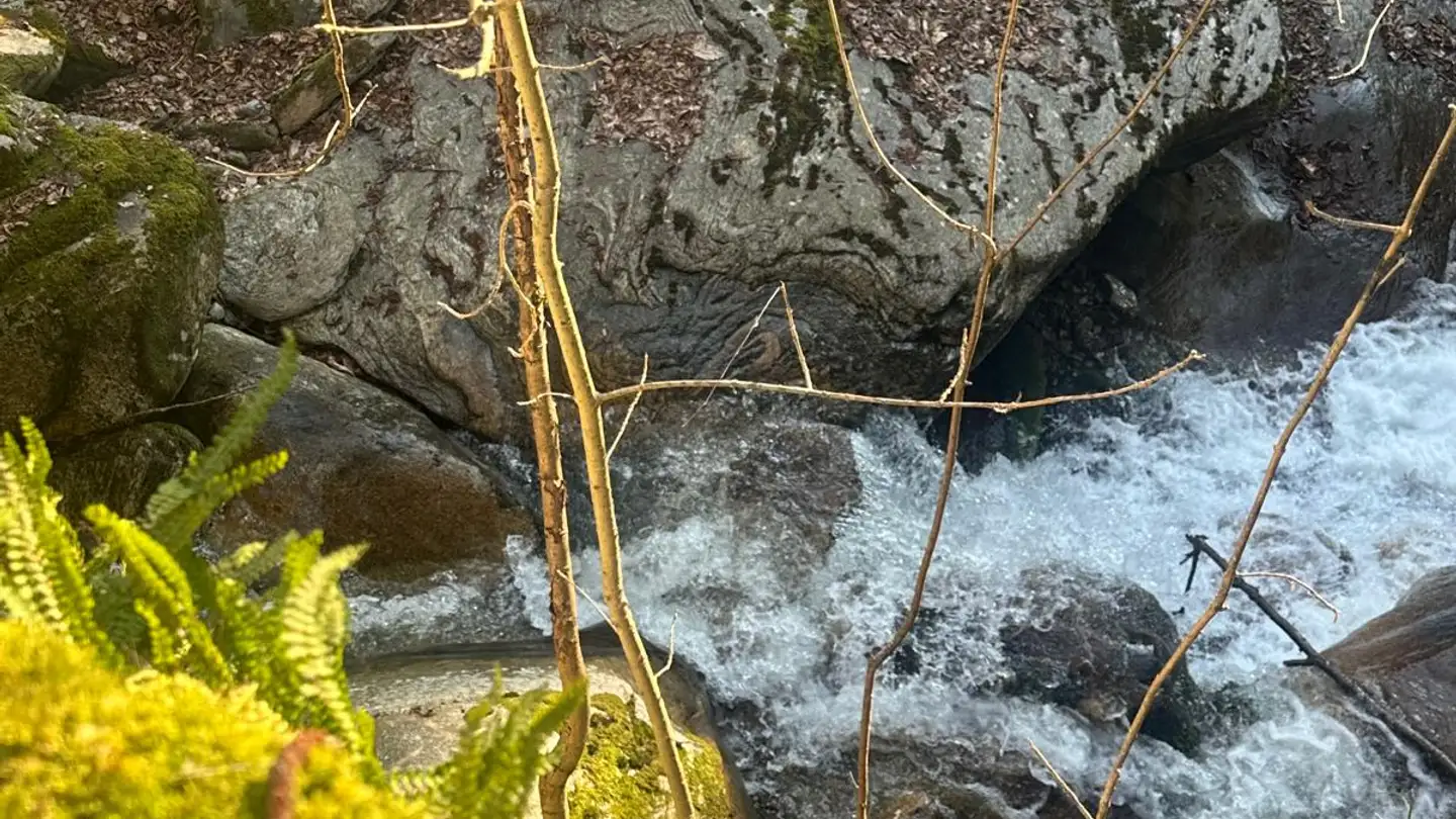 Haus kaufen - Cenz, 6702 Claro - Foto 4