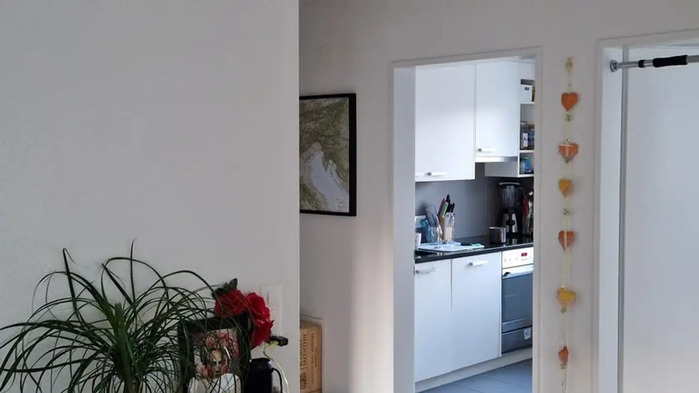 Appartamento in affitto - Langgasse 92, 8400 Winterthur