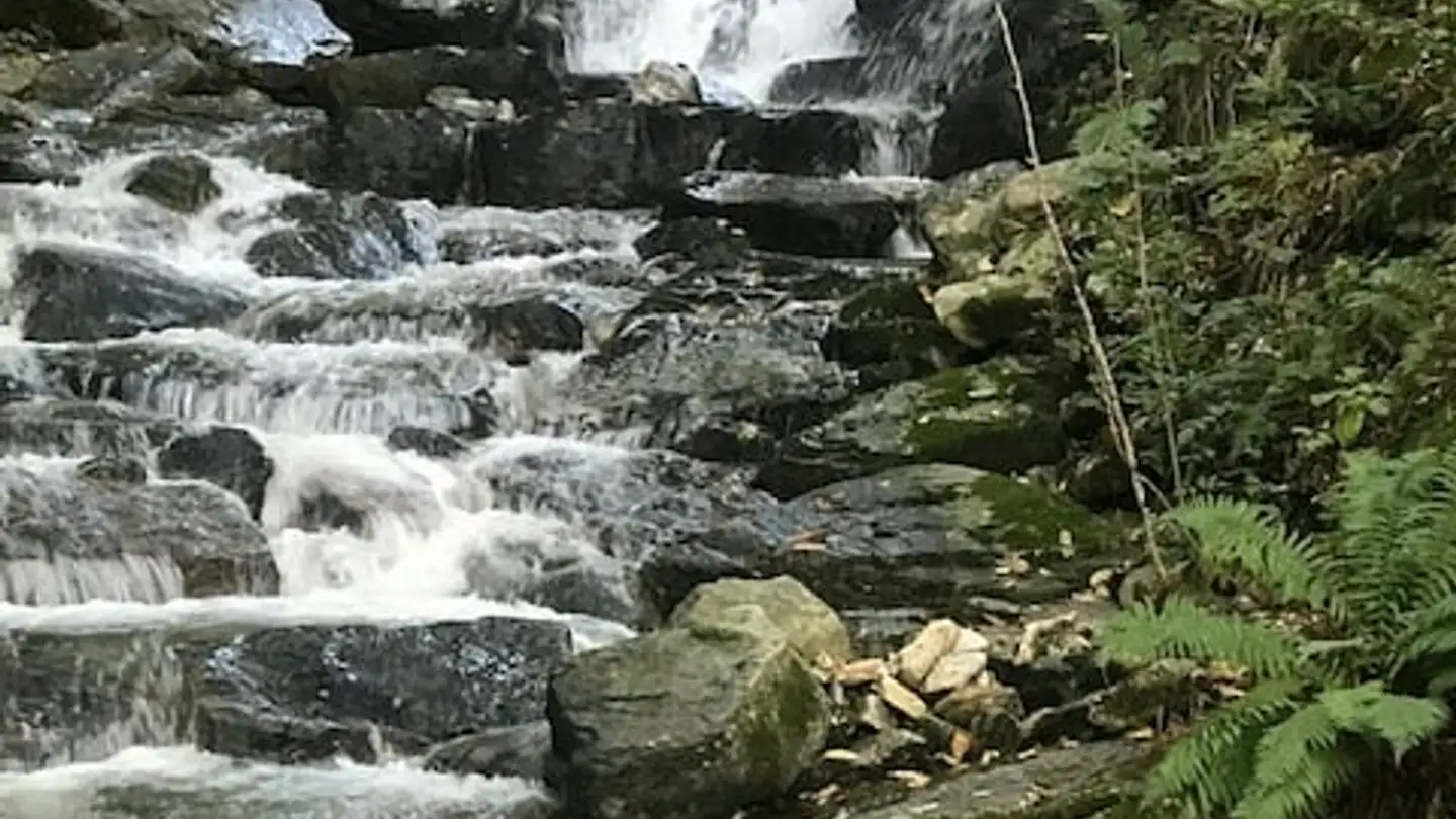 Haus kaufen - Cenz, 6702 Claro - Foto 3