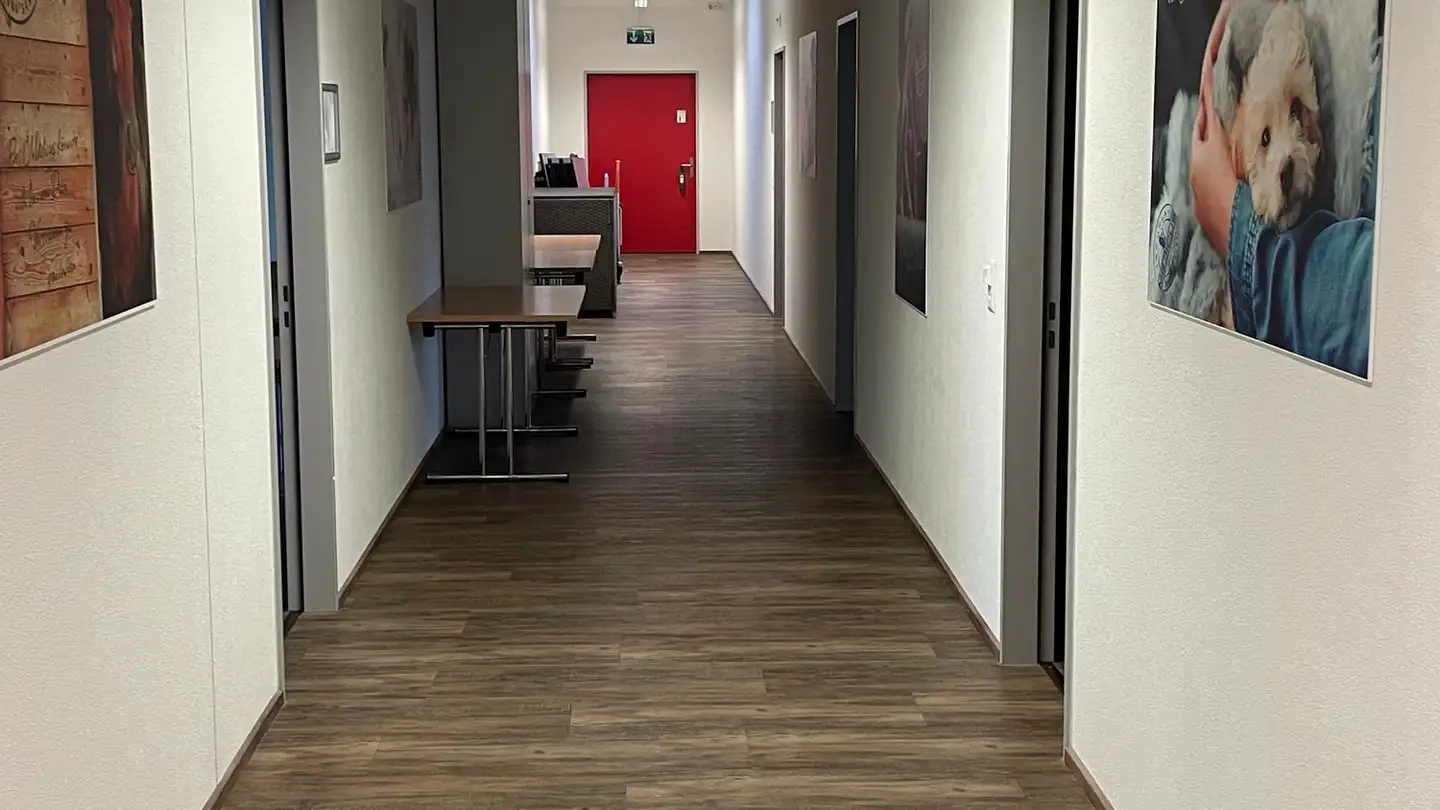 Bureau à louer - Bodenhof 7, 6014 Luzern