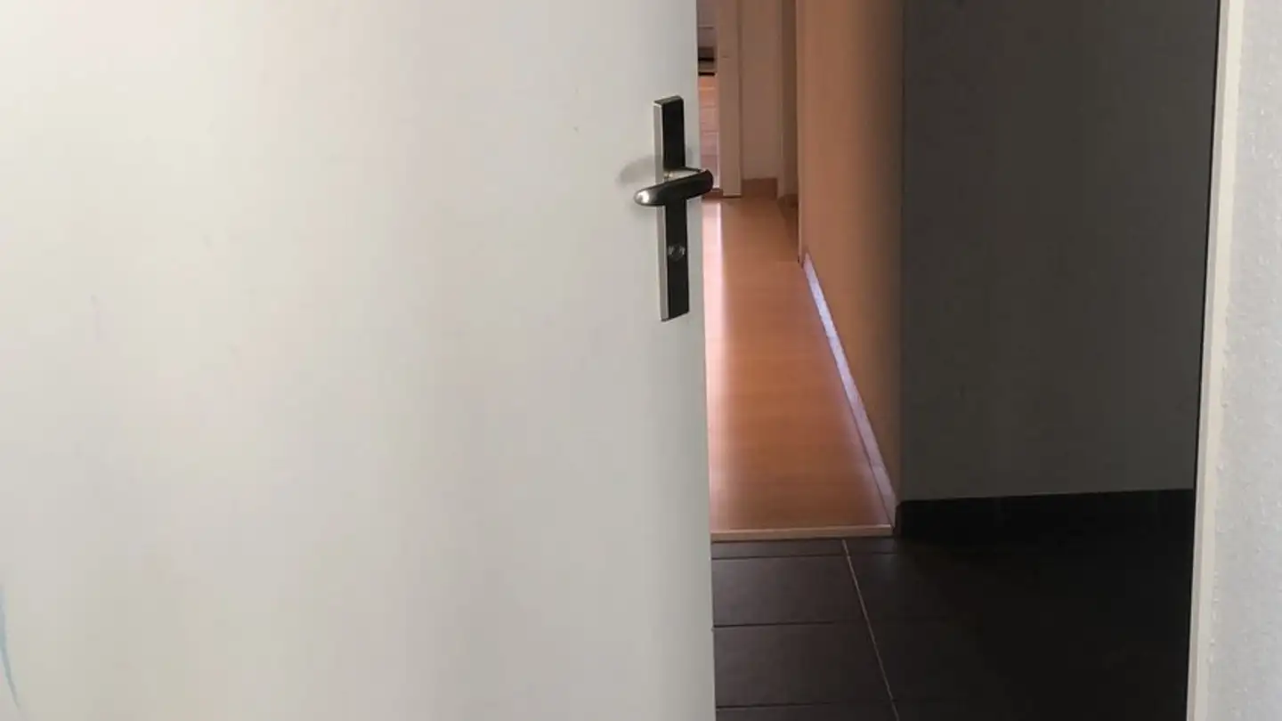 Appartamento ammobiliato in affitto - Soodstrasse 23, 8134 Adliswil