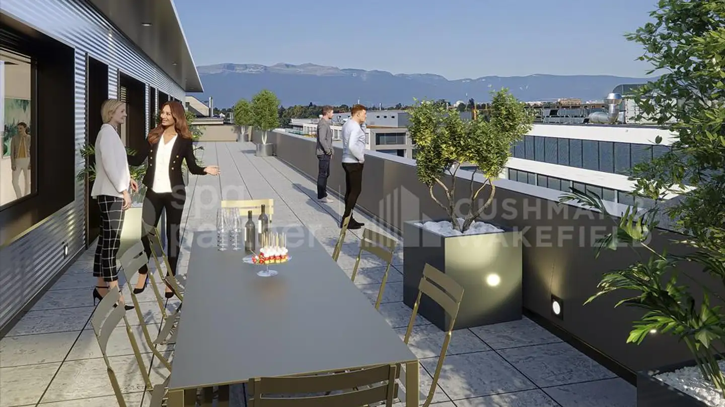 Commercial for sale - 1228 Plan-les-Ouates - Photo 3