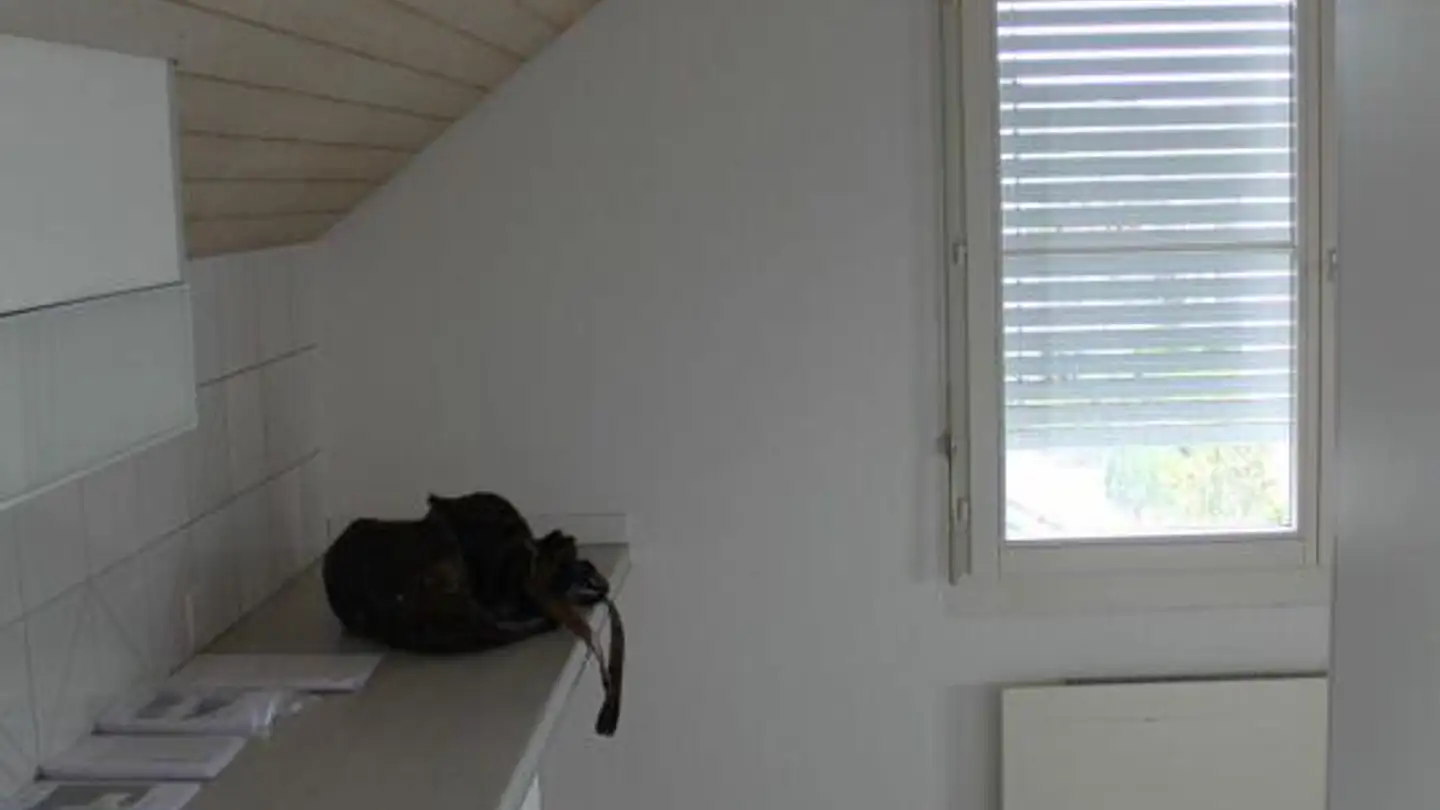 Appartamento in affitto - Storchenstrasse 9, 8570 Weinfelden - Foto 4