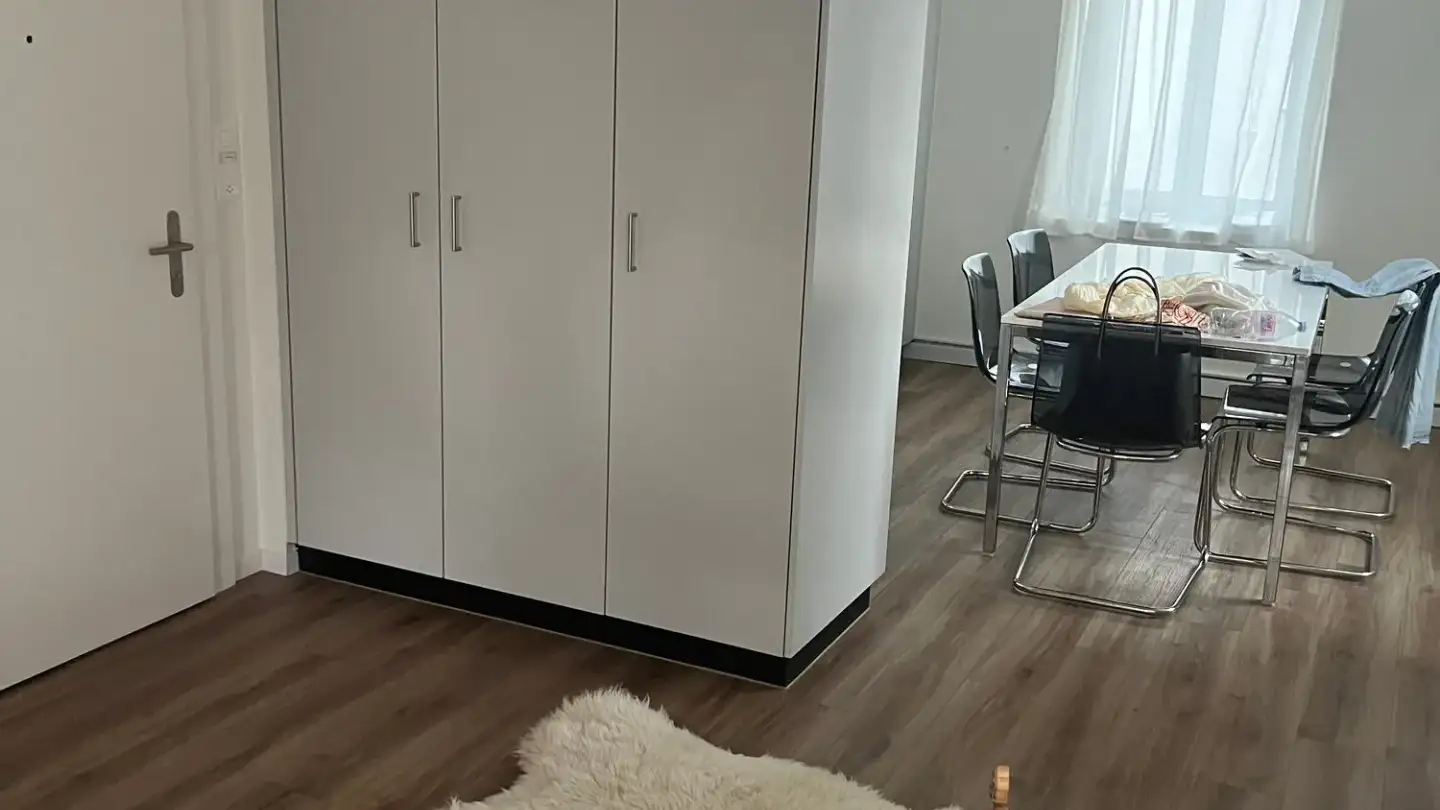 Studio mieten - Oberdorfstrasse 43, 8953 Dietikon - Foto 2