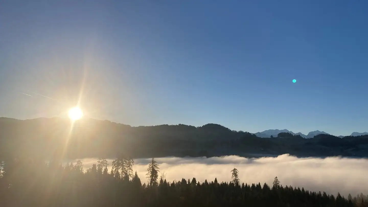 Attico in affitto - 3617 Fahrni b. Thun