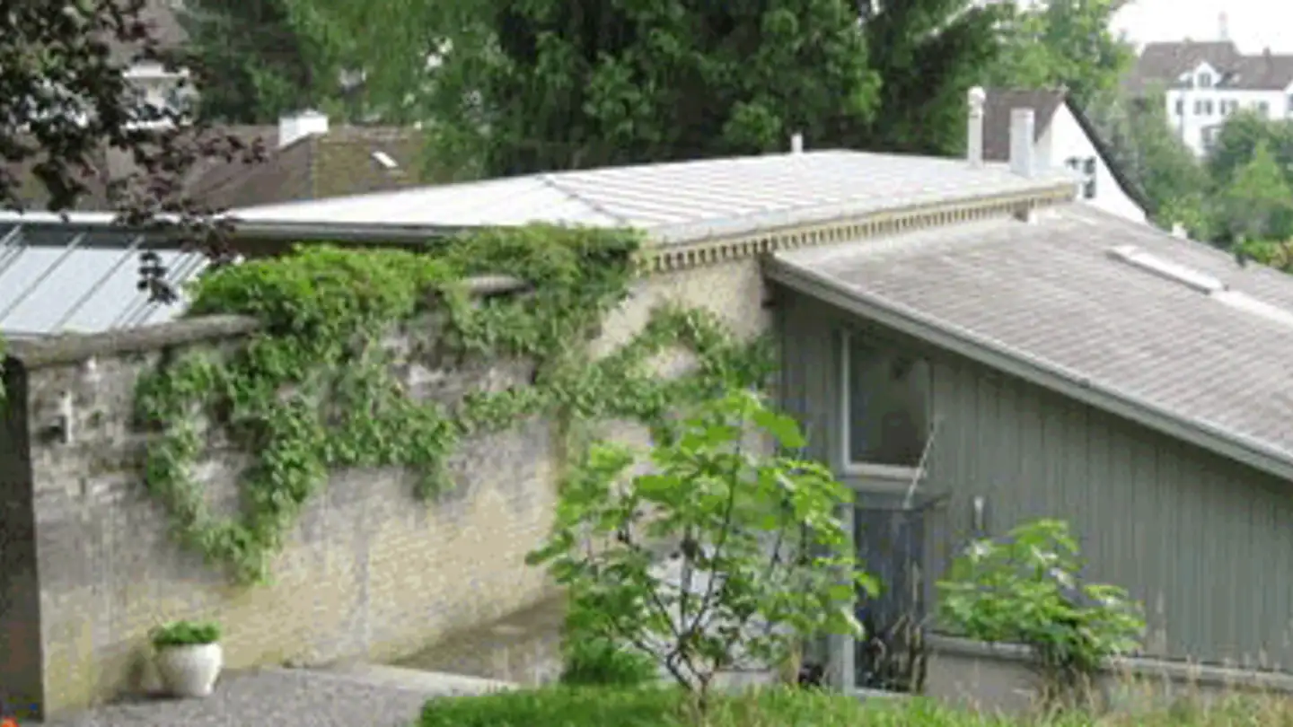 Single house for rent - Villaweg 7, 8912 Obfelden