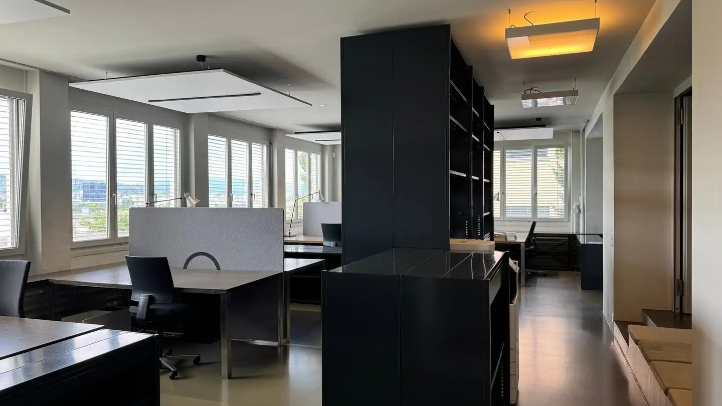 Bürofläche mieten - Ackersteinstrasse 119, 8049 Zürich - Foto 4