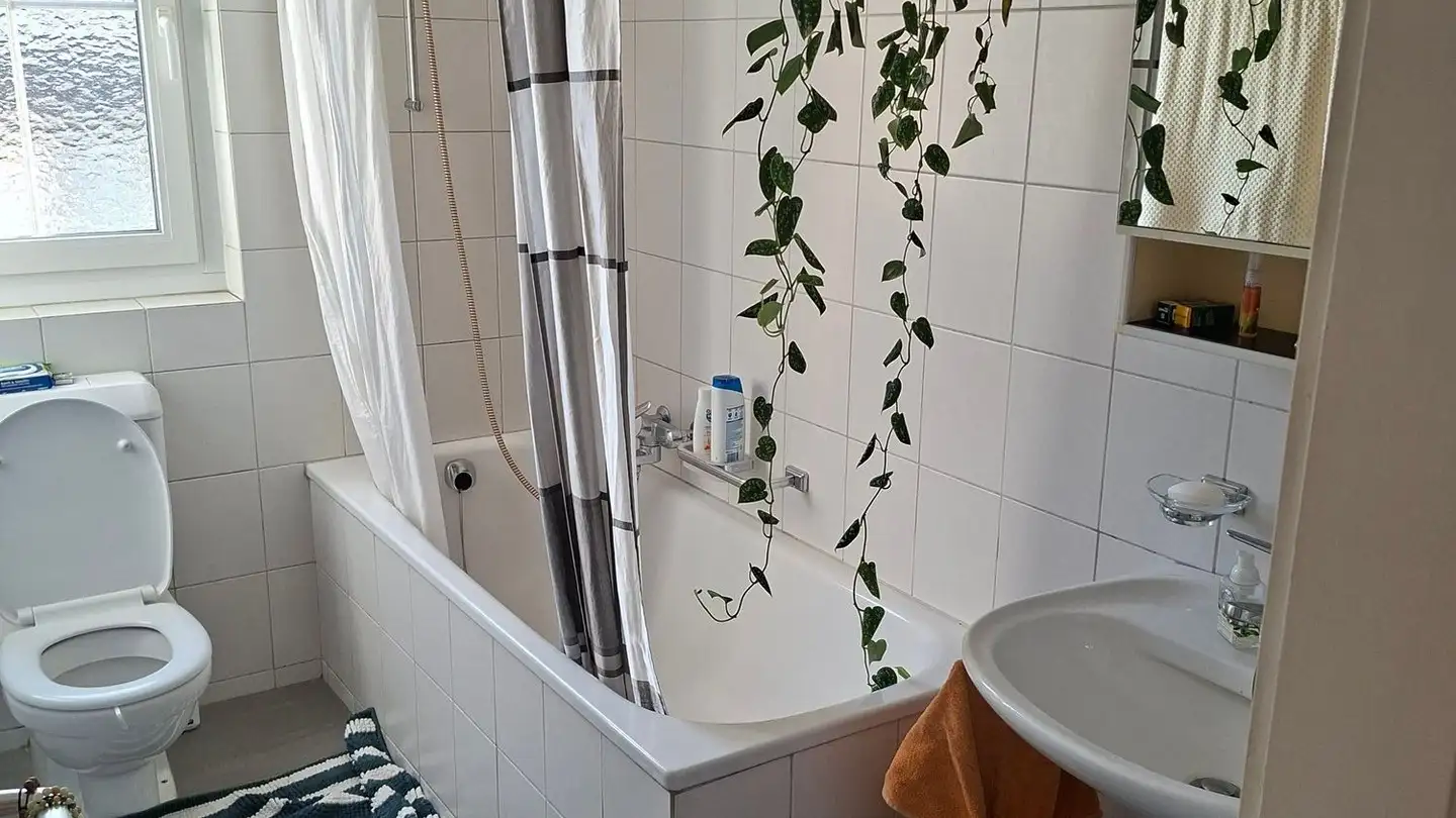 Apartment for rent - Seestrasse 55, 8702 Zollikon - Photo 3