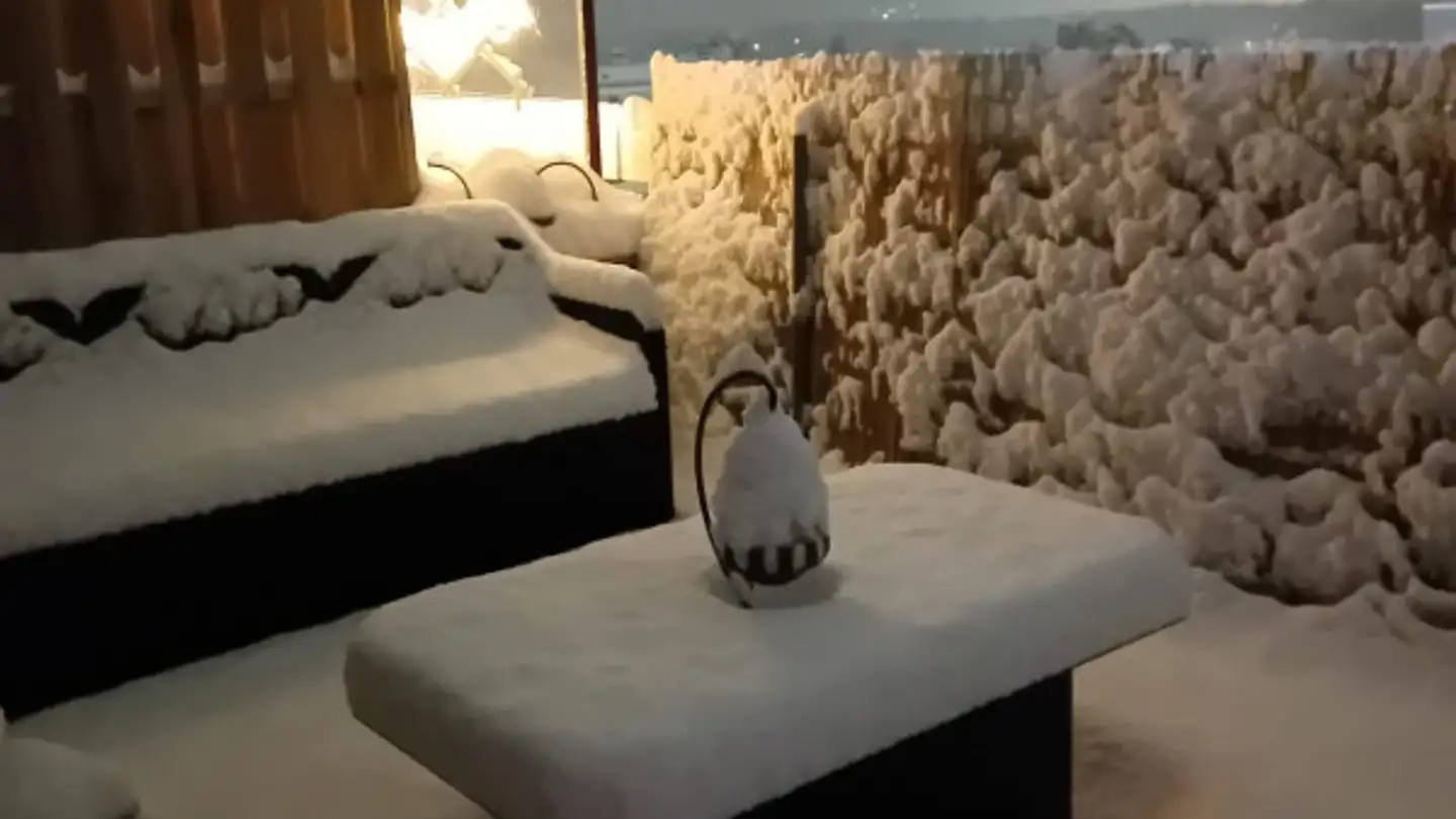 Appartamento in affitto - 1226 Thônex - Photo 2