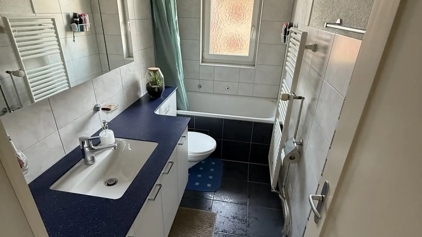 Wohnung mieten - Grünmattweg 6, 8500 Frauenfeld - Foto 4