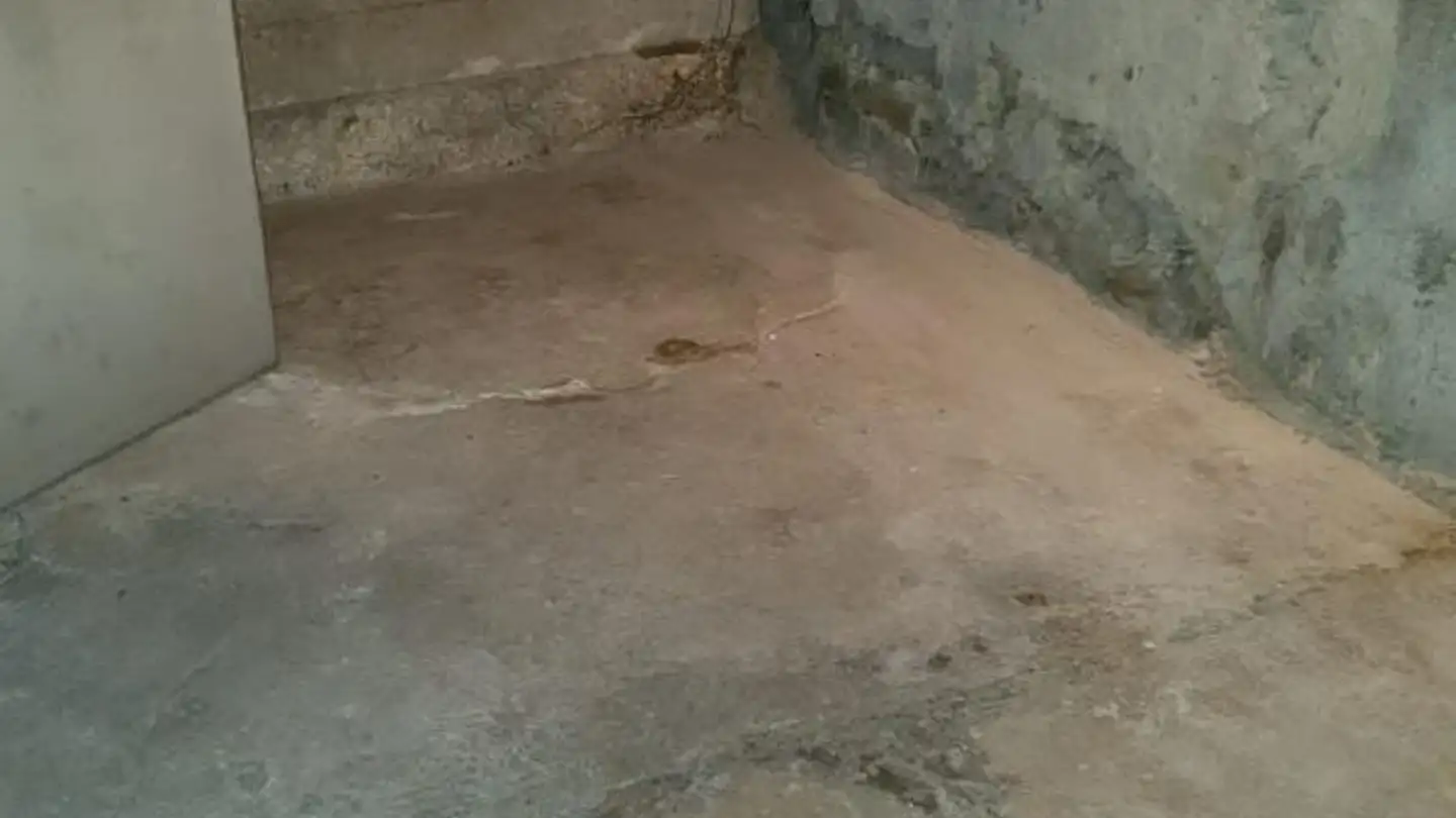 Outdoor parking space for rent - St. Gallerstrasse 39, 9230 Flawil - Photo 3