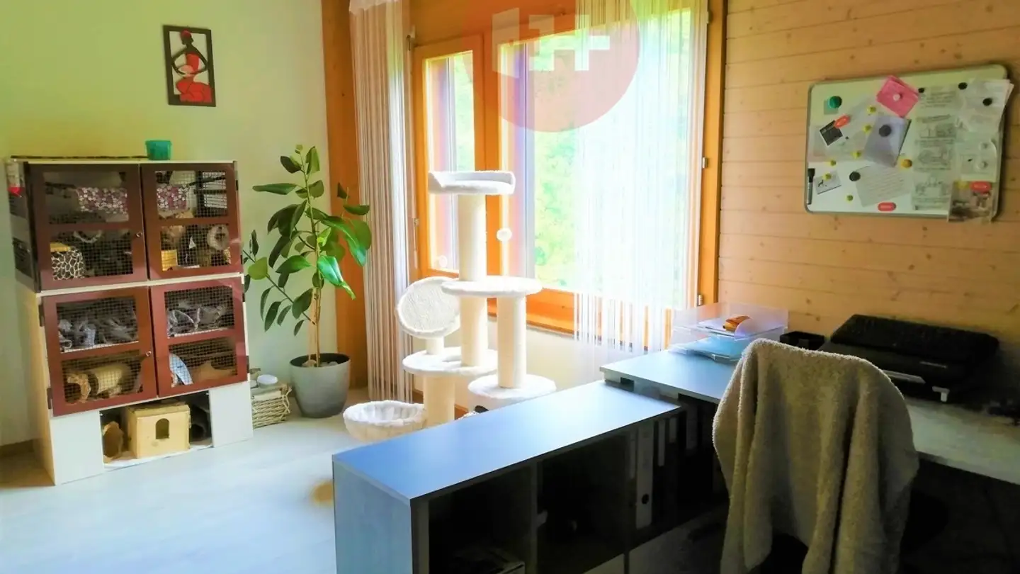 Duplex à louer - 3154 Rüschegg Heubach - Photo 4