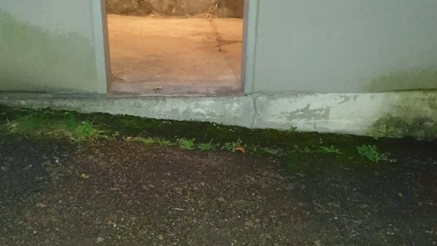 Outdoor parking space for rent - St. Gallerstrasse 39, 9230 Flawil - Photo 4