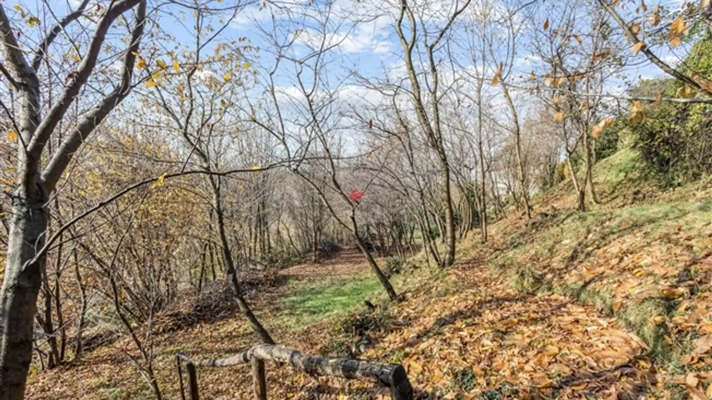 Appartement à vendre - Ar Ronchée 27, 6999 Astano - Photo 3