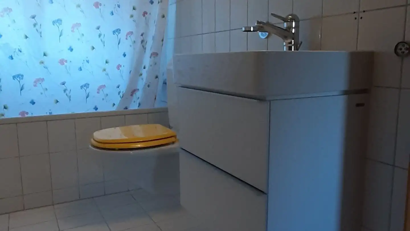 Casa singola in affitto - Bergstrasse 36, 9463 Oberriet SG - Photo 2