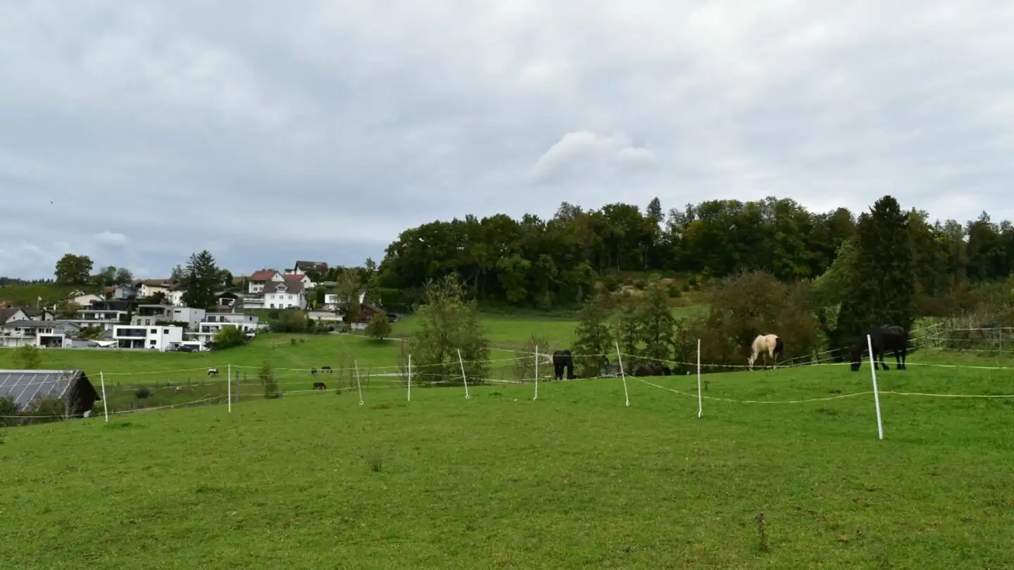 Terreno edificabile in vendita - Schützenhausweg, 5426 Lengnau AG