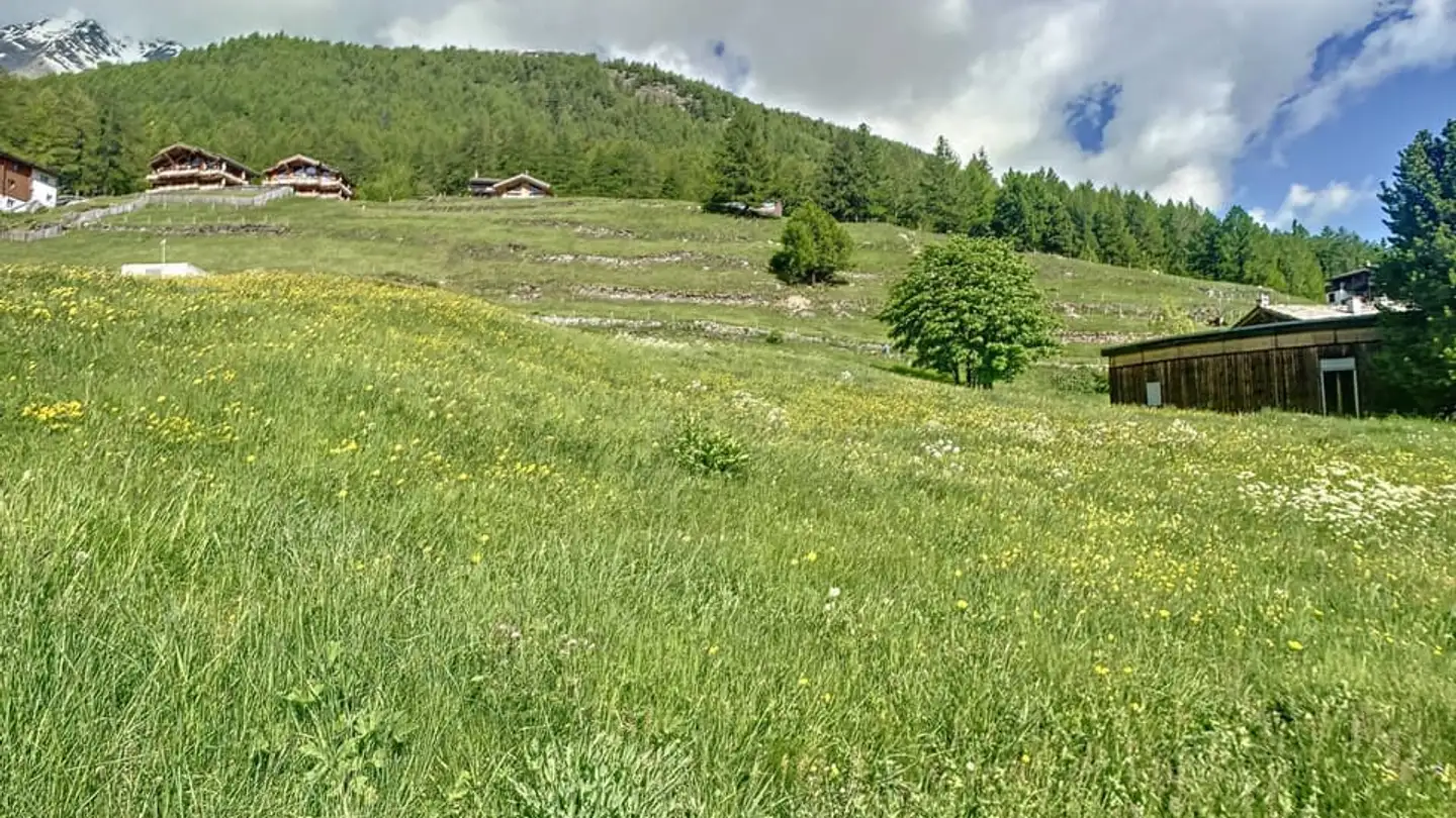 Terrain constructible à vendre - 3906 Saas-Fee - Photo 4