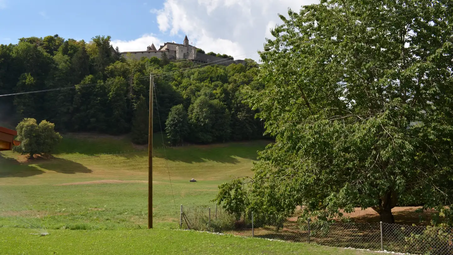 Casa singola in affitto - Route de l'Intyamon 350, 1663 Epagny - Foto 3