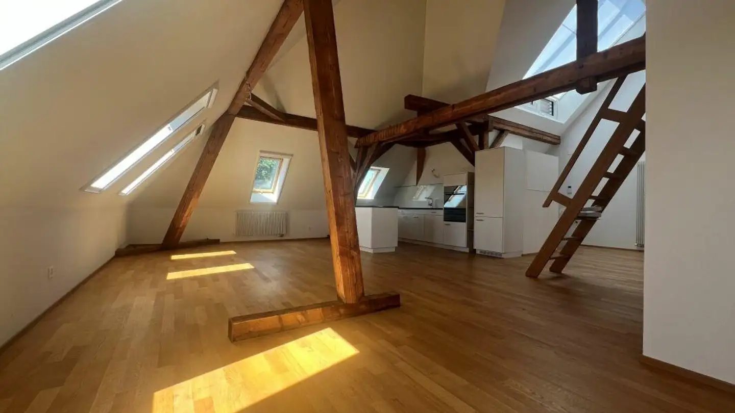 Attico in affitto - Rütimeyerstrasse 22, 4054 Basel