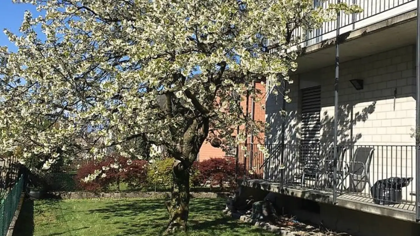 Appartement à louer - Via Alla Roggia 11, 6514 Sementina