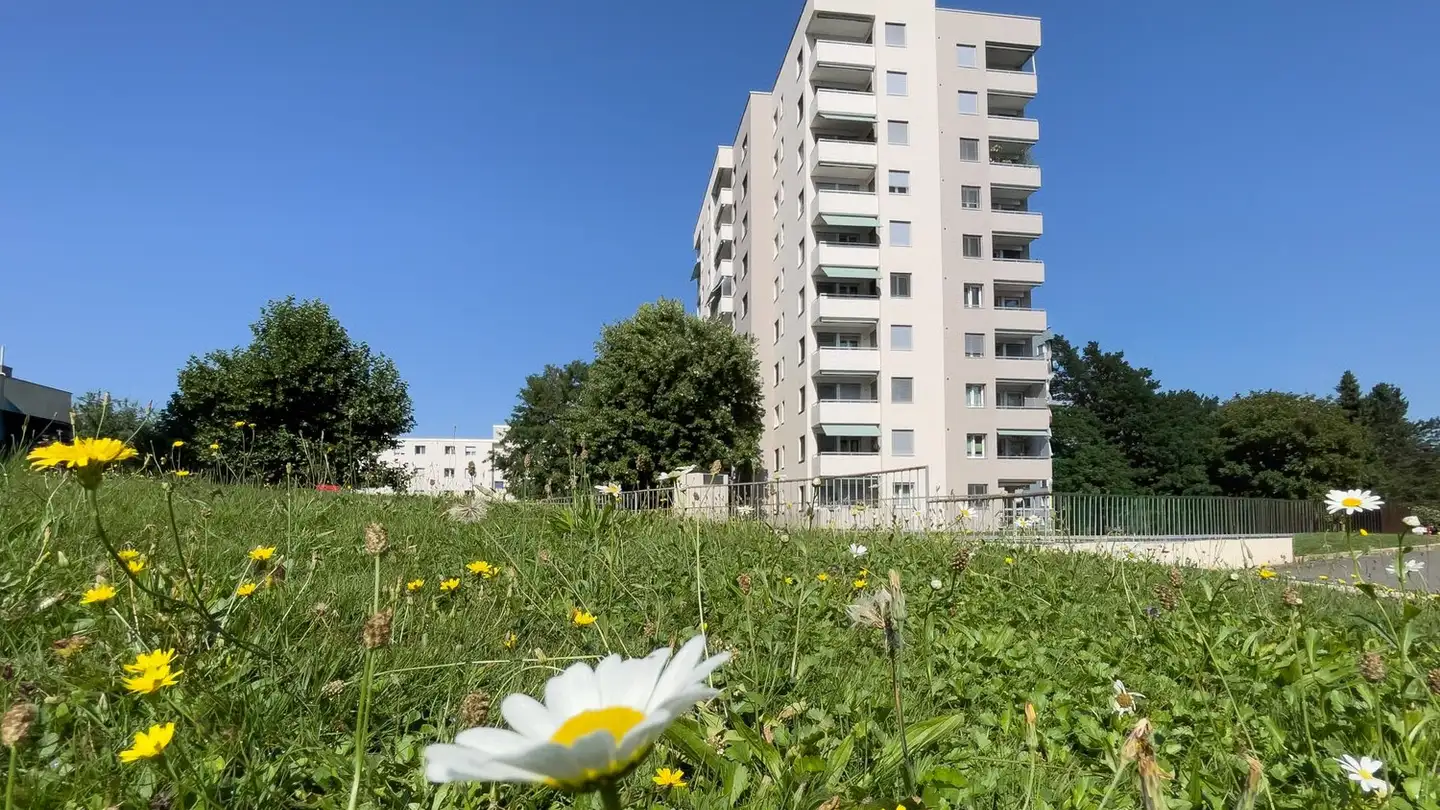 Appartamento in affitto - Buhaldeweg 3, 5034 Suhr - Foto 2