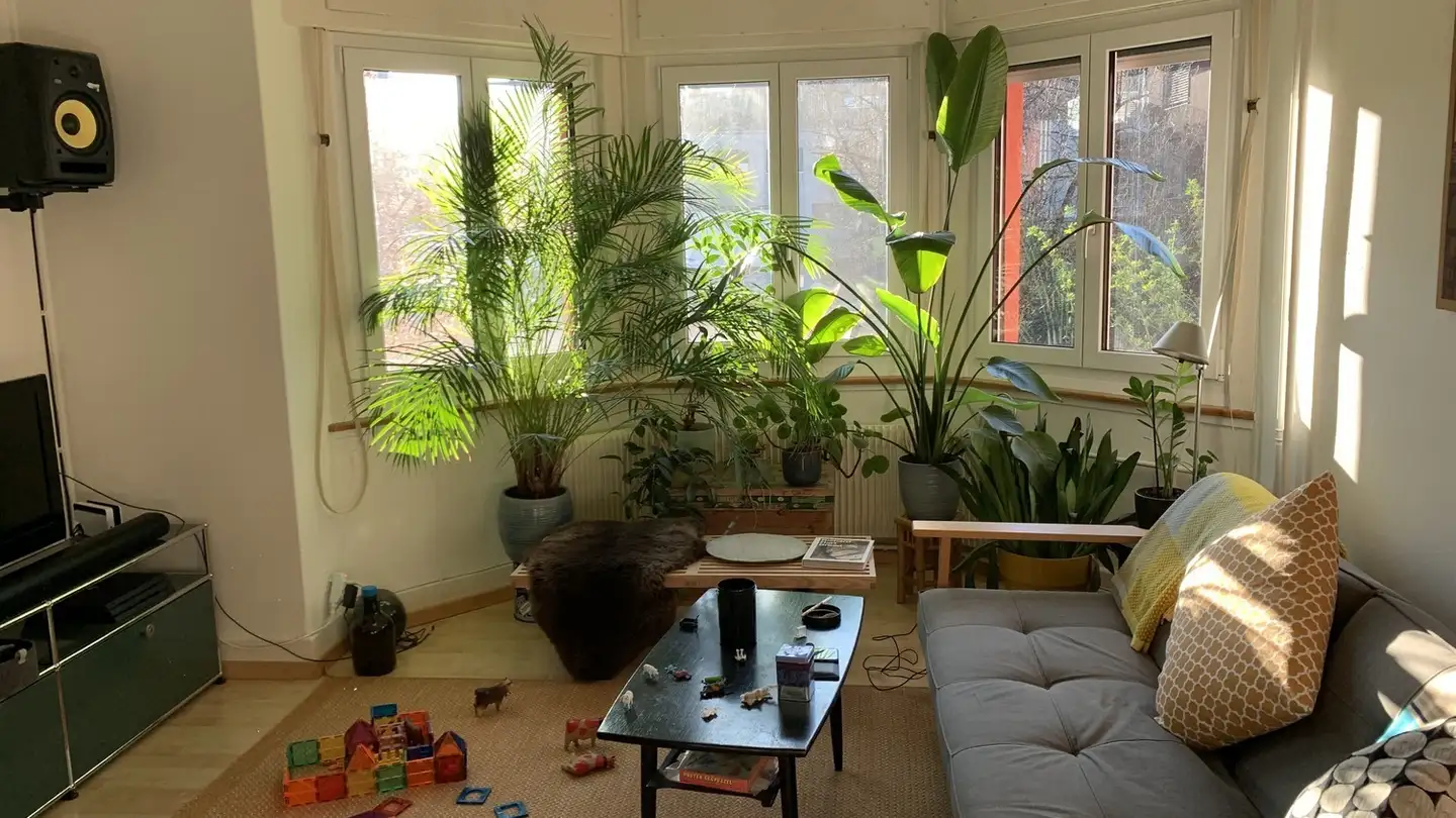 Single room for rent - Grünaustrasse 10, 8064 Zürich
