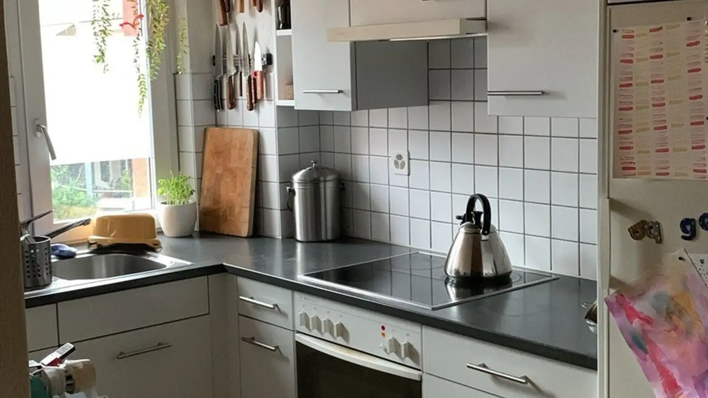 Single room for rent - Grünaustrasse 10, 8064 Zürich - Photo 2