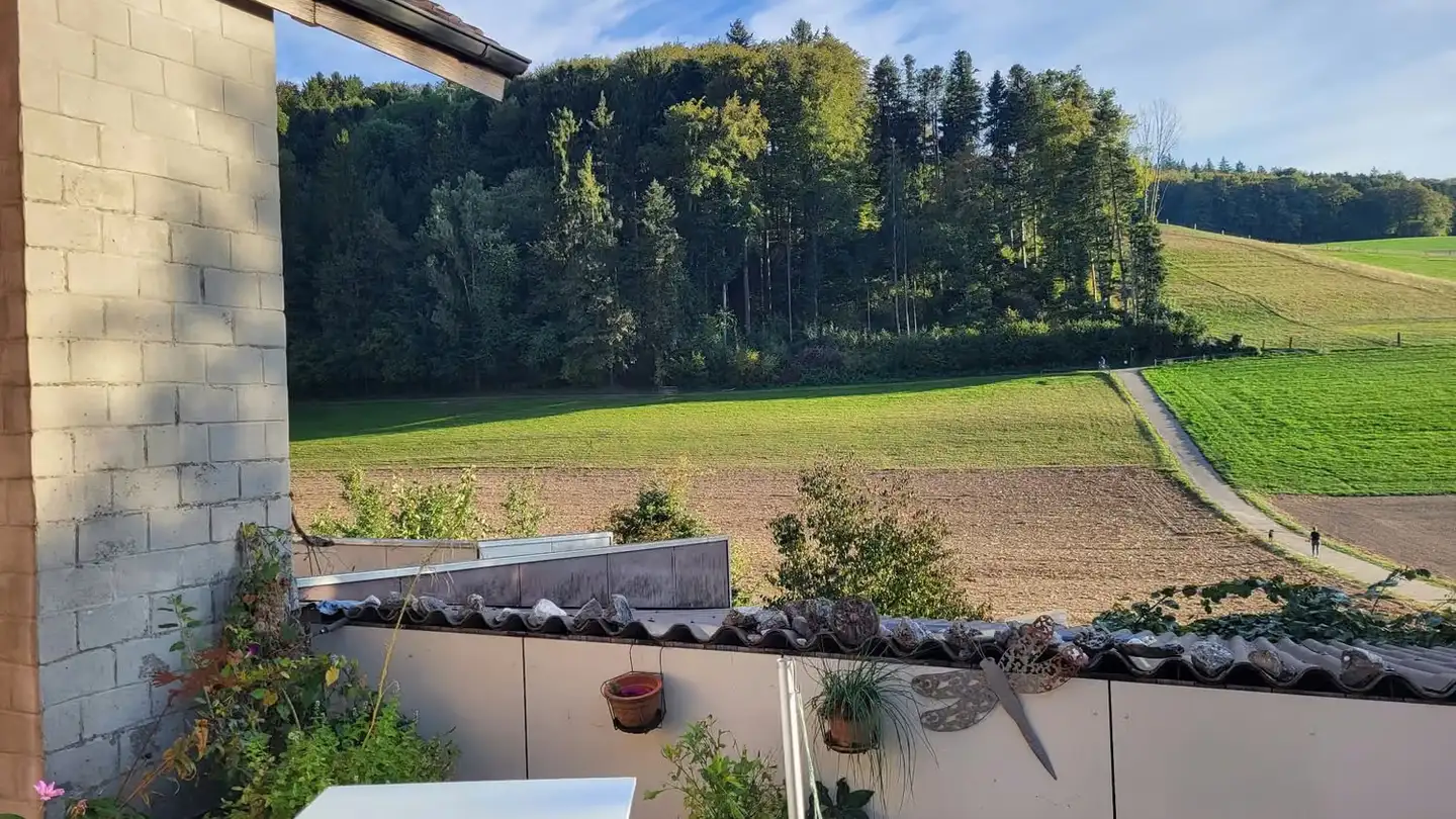 Wohnung mieten - Regenhaldenstrasse 36, 3365 Grasswil - Foto 3