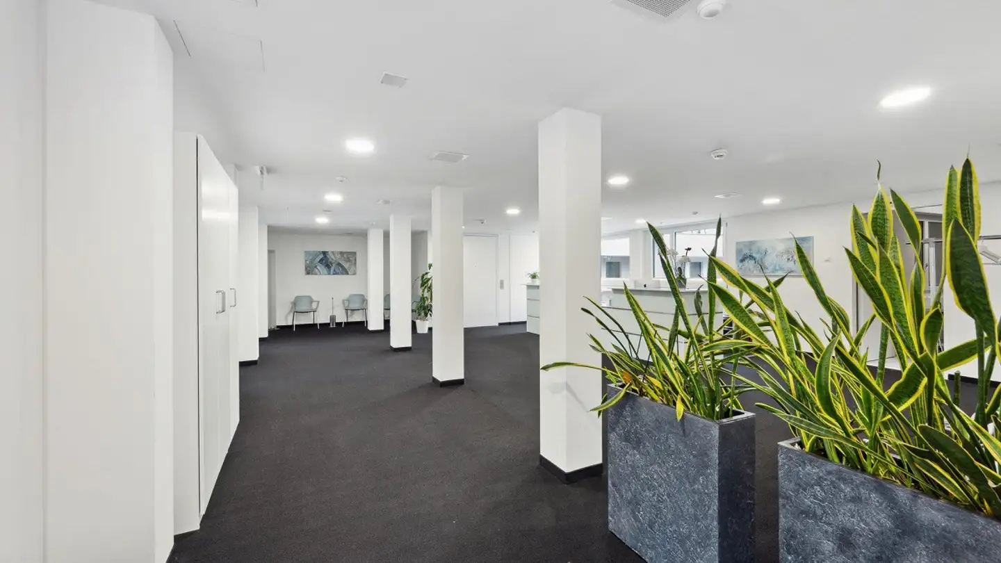 Bureau à louer - Untere Rebgasse 7, 4058 Basel - Photo 4