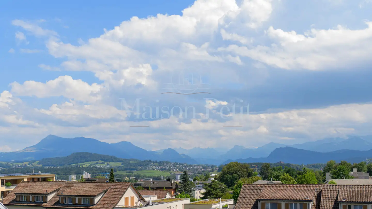 Maison individuelle à vendre - Listrighöhe 29, 6020 Emmenbrücke - Photo 3