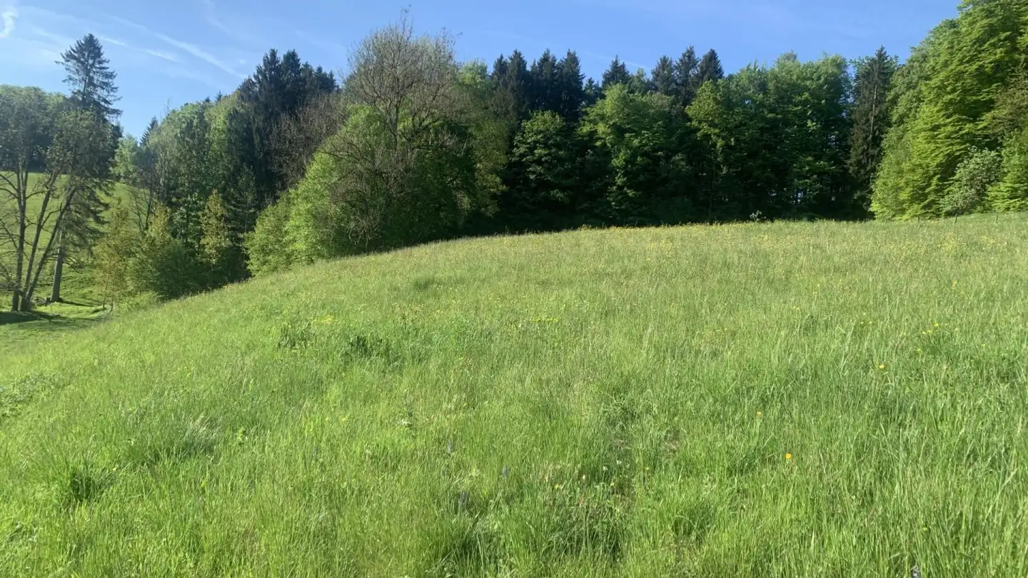 Casa singola in vendita - 1337 Vallorbe - Foto 2