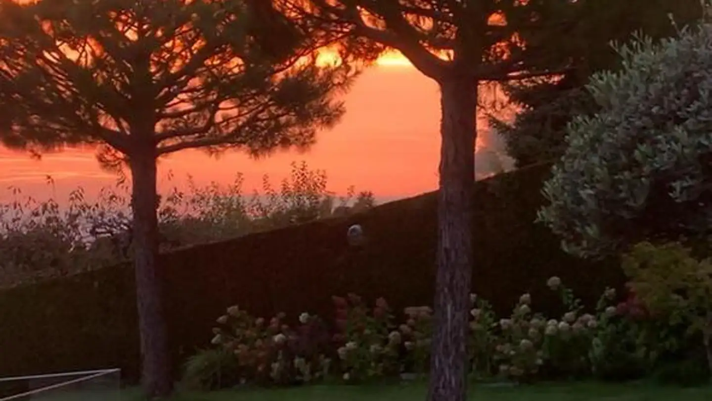 Casa singola in vendita - 1095 Lutry - Photo 3