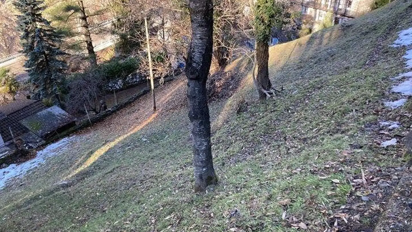 Constructible plot for sale - 6632 Vogorno - Photo 2