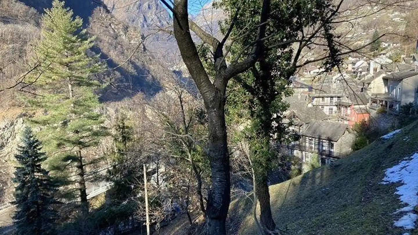 Constructible plot for sale - 6632 Vogorno - Photo 3