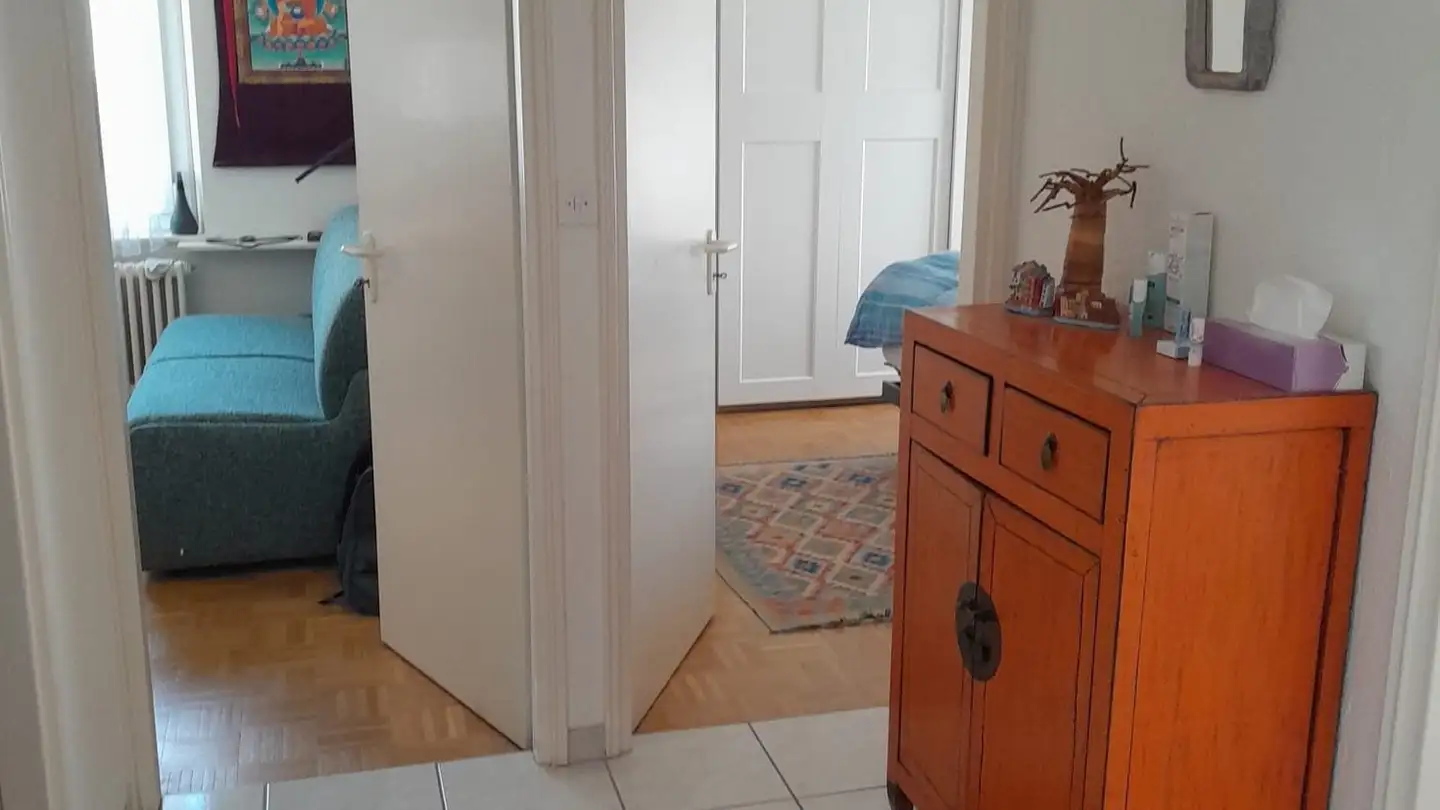 Apartment for rent - 6612 Ascona - Photo 3