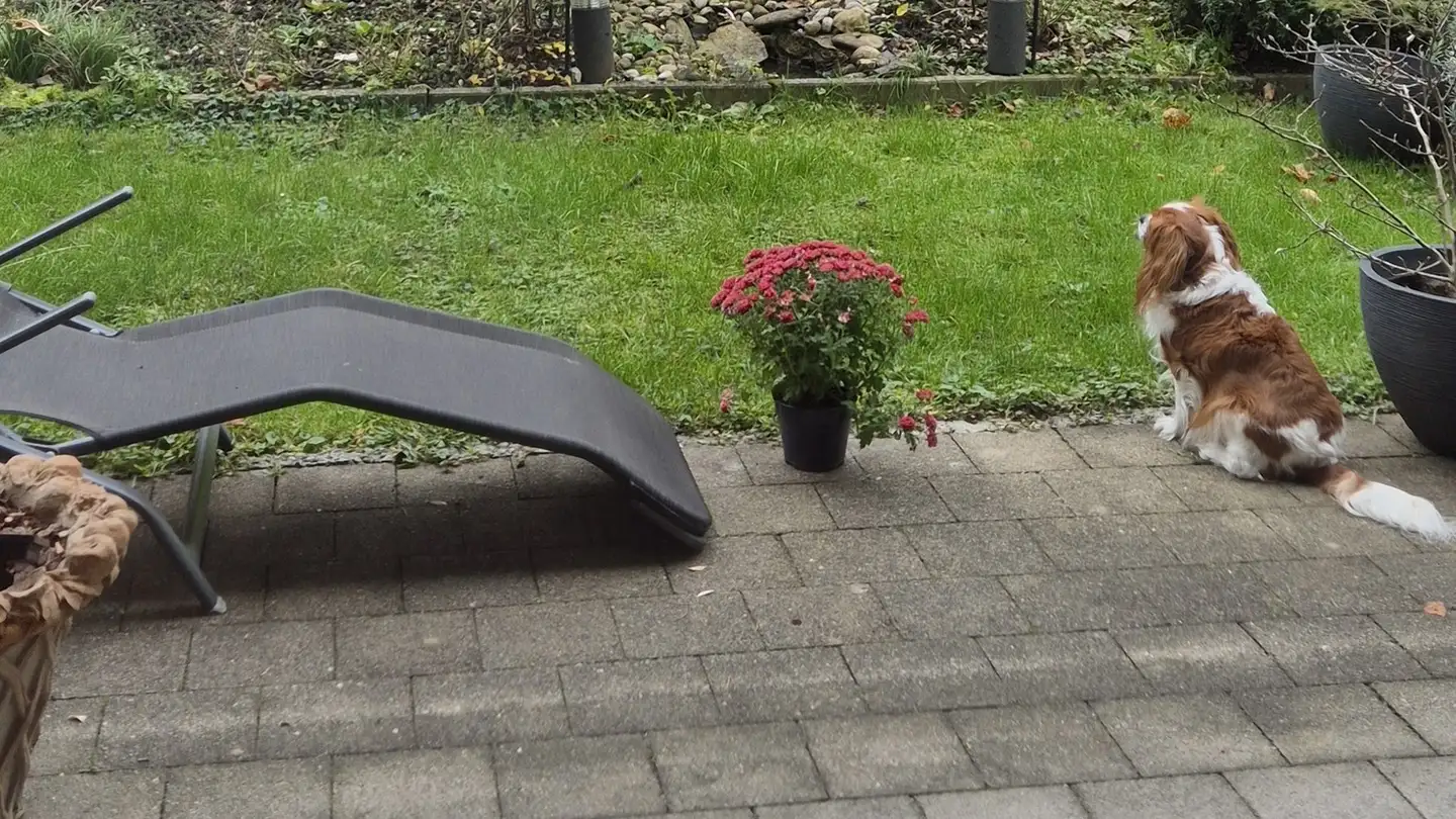 Zimmer mieten - 6005 Luzern - Foto 4