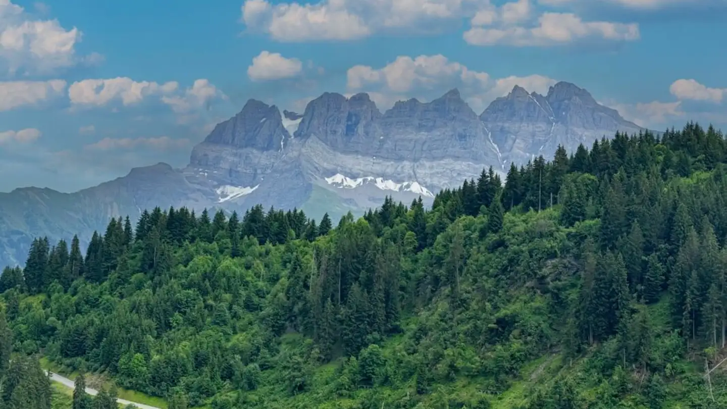 Appartement à vendre - Route De Champoussin 22, 1873 Champoussin