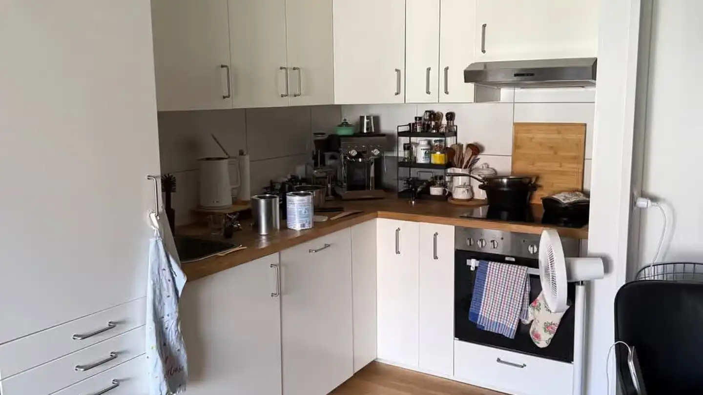Apartment for rent - Im Tiergarten, 8055 Zürich - Photo 2